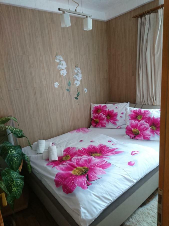 Apartment Hlinska Ceske Budejovice Exterior foto